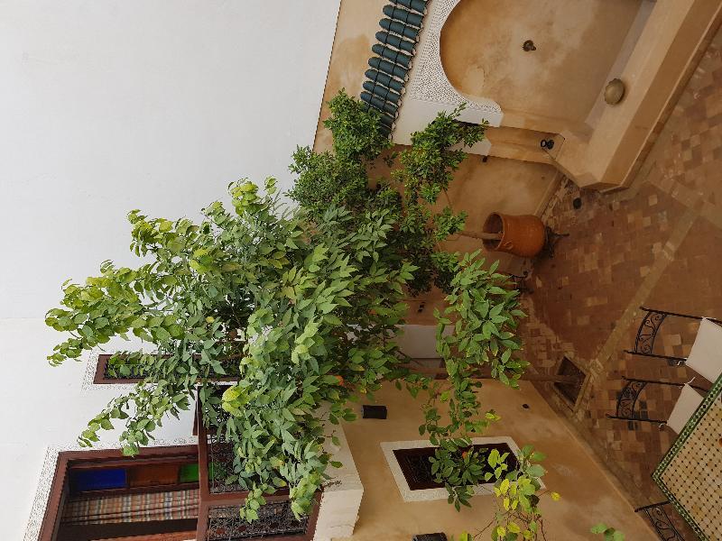 Dar Rania Hotell Marrakesh Eksteriør bilde